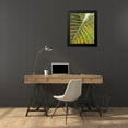 thumbnail image 4 of Pinto, Patricia 20x24 Black Modern Framed Museum Art Print Titled - Green Zoom I, 4 of 5