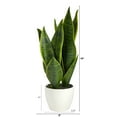 thumbnail image 2 of Nearly Natural 16in. Sansevieria Artificial Plant, 2 of 4
