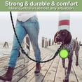 thumbnail image 4 of 2 Pack Dog Leash-Collapsible Pet Bowl-Poop Bag Holders,Long Heavy Duty Dog Training Leashes for Small Medium Large Breed Dogs,5 FT Comfortable Padded Handle Reflective Chew Proof Rope Dog Leash, 4 of 6
