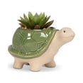 thumbnail image 2 of Set of 4 Turtle Starter Planter, 2 of 2
