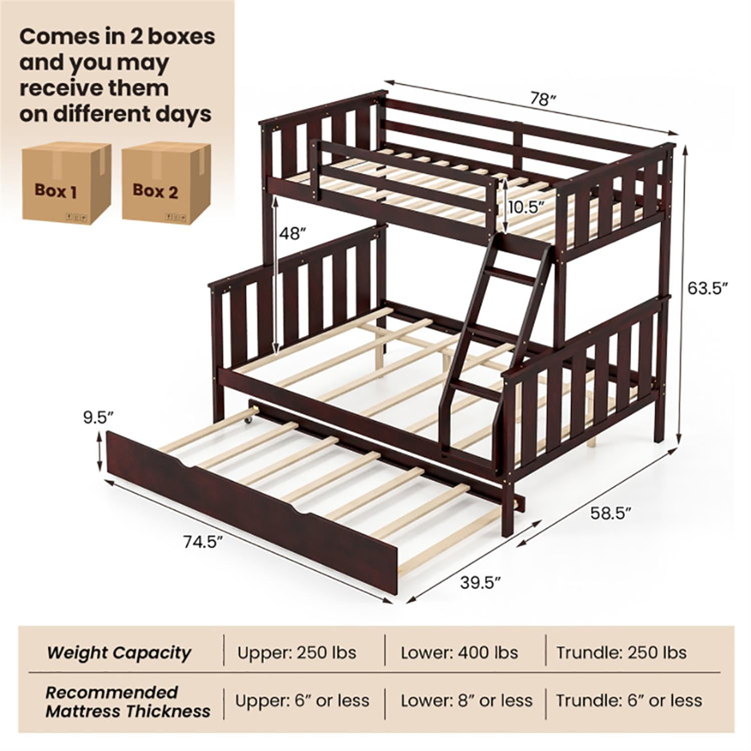 Demi Bonn 3-in-1 Twin Over Full Bunk Bed with Trundle and Ladder, Twin Bunk Beds, Bunk Beds, Black