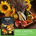 thumbnail image 4 of 5 Packs Gourd Mix Seeds - Non-GMO Heirloom Full Sun Annual Vegetable, 4 of 6