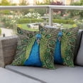 thumbnail image 5 of Pack of 2 Outdoor Pillow Covers,Waterproof Peacock Feathers Throw Pillow Covers,Contemporary Aesthetic Art Decorative Pillowcases Cushion Covers for Patio Couch Pillow Sham Protector 26x26 Inch, 5 of 8
