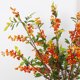 thumbnail image 3 of Ramas de Árboles Frutales Artificiales, Alta Simulación, Tallo de Ramo de Frutas de Imitación Realistas, Decretación Del Hogar, Accesorios de Fotografía, Decretación de Estilo, 3 of 7