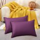 thumbnail image 5 of Funda de almohada rectangular impermeable para exteriores – Protector de cojín moderno y liso para muebles de patio, jardín y piscina., 5 of 6