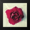 thumbnail image 2 of Dvorak, Vicki 20x20 Black Modern Framed Museum Art Print Titled - Paris Rose, 2 of 5