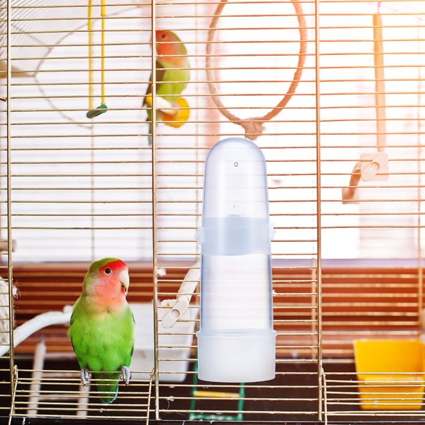 Nestingho 2Ud Comedero Automático Para Pájaros En Jaula Con Transparente Y Uso