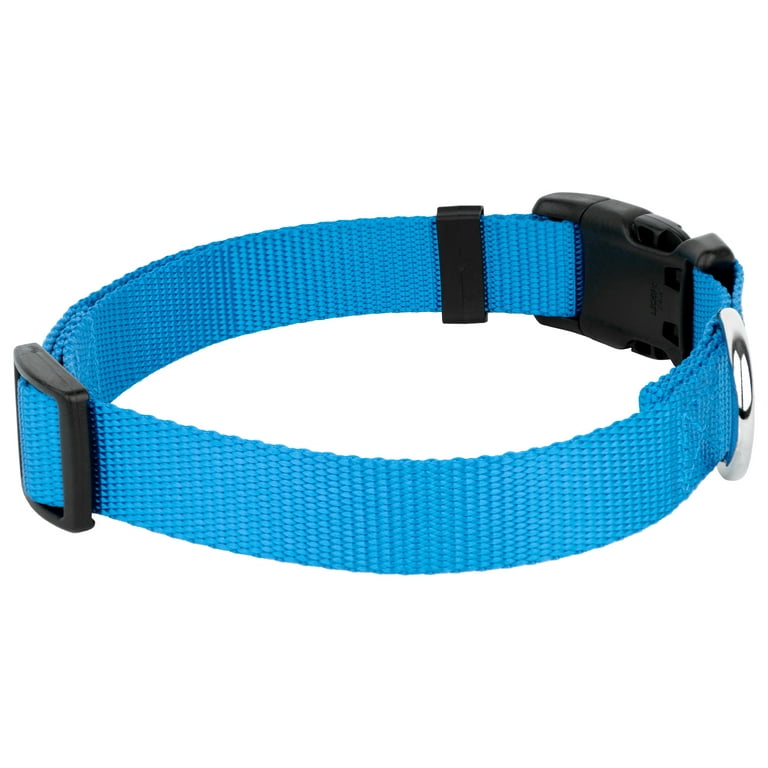 Country Brook Petz American Made Deluxe Ice Blue Nylon Dog Collar, Large