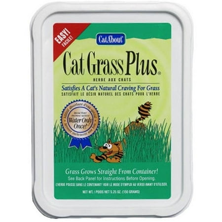 Miracle Care Cat A'bout Cat Grass Plus Tub, 150 grams