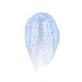 thumbnail image 2 of Gel para extensión de uñas PINK MASK Easy Gel 60 mL Blue Shine 60 g, 2 of 9