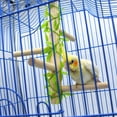 thumbnail image 3 of Soporte pino para loros, estante de juguete para masticar, juguetes colgantes para jaula de pájaros, molienda de piezaza, percha para pájaros , con hojas Colco Soporte de percha de pájaro loro, 3 of 6