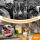 thumbnail image 5 of Muzzle Mayerzon Pitbull Rottweiler para perros grandes y medianos, 5 of 8