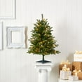 thumbnail image 4 of Nearly Natural 3ft. Snowed Grand Teton Fir Artificial Christmas Tree with 50 Clear Lights and 111 Bendable Branches, 4 of 7