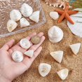 thumbnail image 3 of Conchas marinas espirales naturales sin perforar, 100 g (13 piezas), conchas marinas de playa de 2 a 4 cm, con diseño floral blanco, sin agujeros., 3 of 5