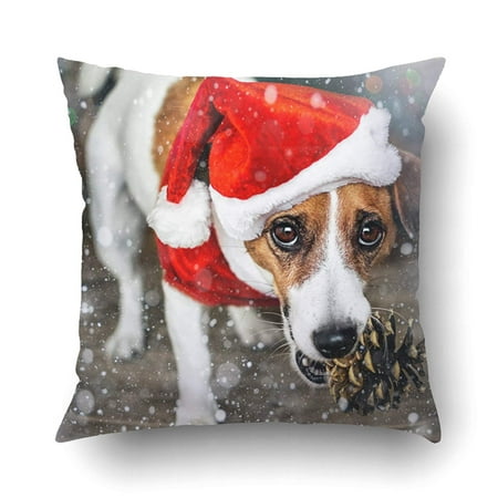 BPBOP Dec A Puppy Dog In A Red Santa Claus Costume Holding A Pine Cone In The Mouth Merry Christmas Happy New Year Pillow Case Cushion Cover Case Throw Pillow Case 20x20 inches