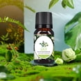thumbnail image 2 of perfumes para caballero Oil Aromatherapy Therapeutic Grade Water Soluble Aroma 10ML, 2 of 6