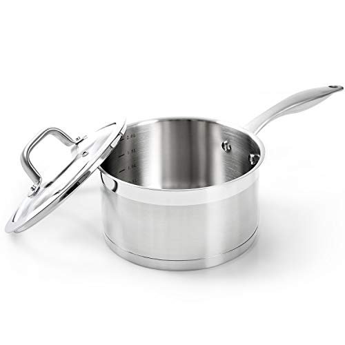 Duxtop Professional Stainless Steel Sauce Pan with Lid, Kitchen