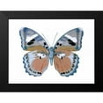 thumbnail image 2 of Bosco, Julia 18x15 Black Modern Framed Museum Art Print Titled - Butterfly in Pink II, 2 of 5