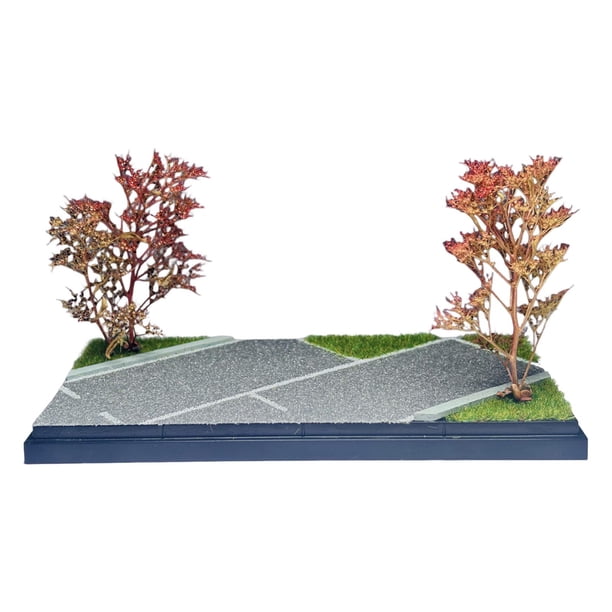Caja de almacenamiento para exhibir maquetas de coches a escala 1/64, organizador de exhibición de regalos coleccionables