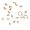 GOLD/CRYSTAL, variant on No Boundaries Goldtone 18 Pair Post Earring Pack
