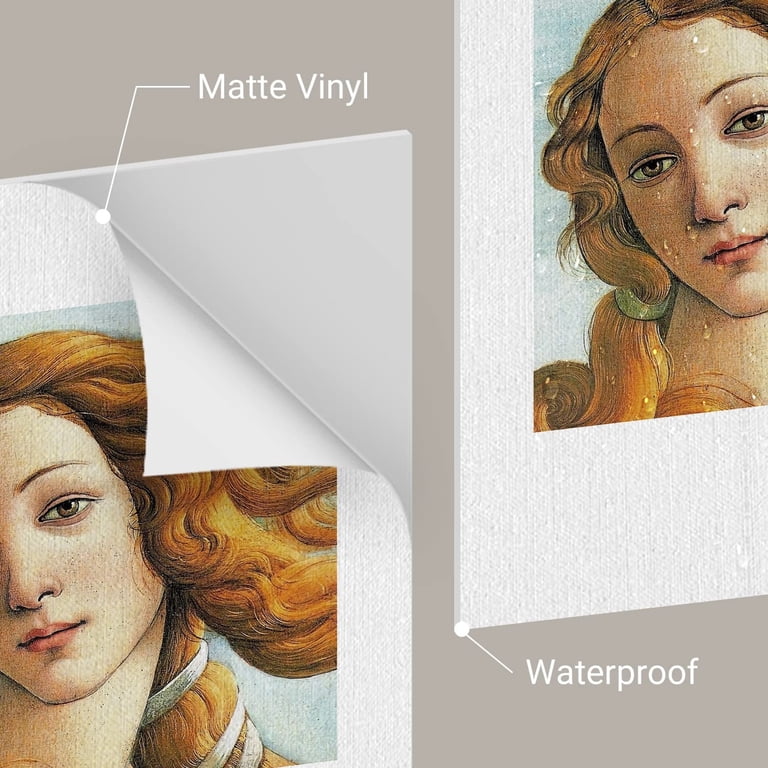 PixonSign Vintage Chic Adhesive Wall Art Birth of Venus Typography