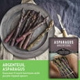 thumbnail image 3 of 3 Packs Argenteuil Purple Asparagus Seeds - Non-GMO Heirloom Perennial Full Sun Vegetable, 3 of 8
