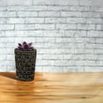 thumbnail image 3 of Atelier B Art Studio 15x15 Black Modern Framed Museum Art Print Titled - SUCCULENT IN A POT, 3 of 5