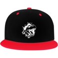 thumbnail image 1 of Flying with Dinosaurs Hip Hop Hat Two Tone Flat Bill 6 Panel Cap Unisex, 1 of 9