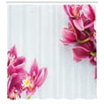 thumbnail image 3 of Ambesonne Floral Shower Curtain, Relaxing Orchids Pattern, 69"Wx84"L, White Hot Pink, 3 of 3