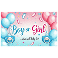 thumbnail image 3 of Gender Reveal Themed Colorful Balloon Footprint Pacifier Banner Background Party Supplies for Baby Shower Photography Props Decorations, 3 of 6