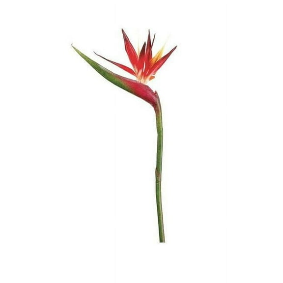 JTB718-RE-OR 37 in. Bird Of Paradise Spray - Red-Orange  - Pack of 6