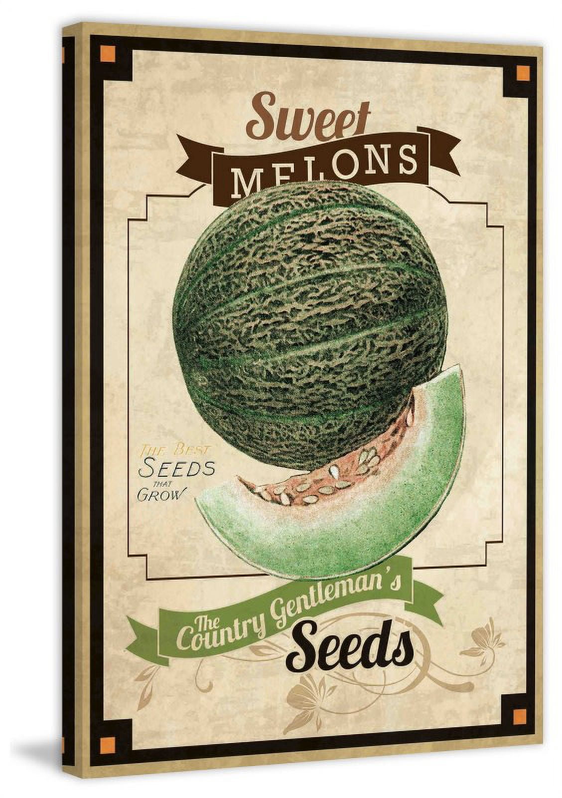 Marmont Hill "Seed Packet Melon" Painting Print on Canvas