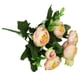 thumbnail image 1 of Carro Portamangueras Ajustable | Organizador de Mangueras | Almacena y Transporta Mangueras de Jardín | Uso Exterior para El Mantenimiento Del Césped, Las Plantas y Las Herramientas, 1 of 4