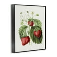 thumbnail image 4 of Stupell Industries Vintage Strawberries Study Food & Beverage Painting Black Framed Art Print Wall Art, 16 x 20, 4 of 10