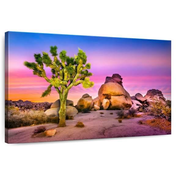 Elephant Stock Joshua Tree National Park Iv Wall Art - Horizontal Canvas Wall Art - Living Room Wall Decor - Places Canvas - Pink And Brown Decor By Susanne Kremer - 12" x 8"