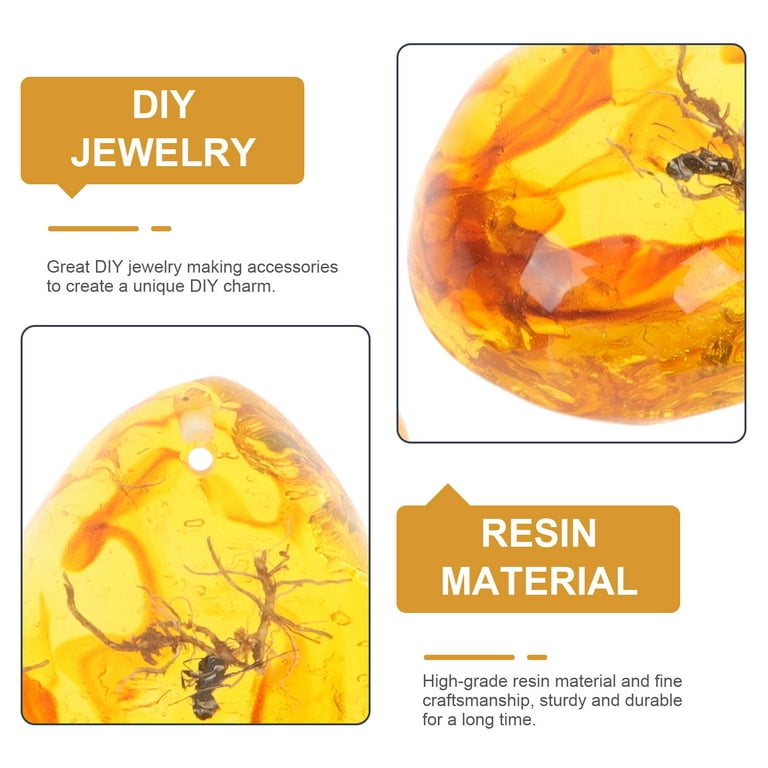 4Pcs Insect Specimen Amber Resin Insects Amber Resin Crafts