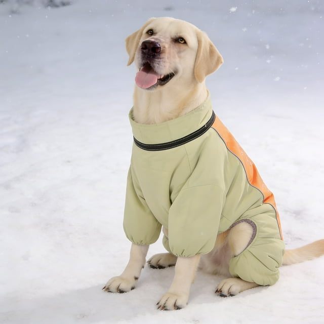 Durable And Comfortable Outfits For Small Medium Large Breed