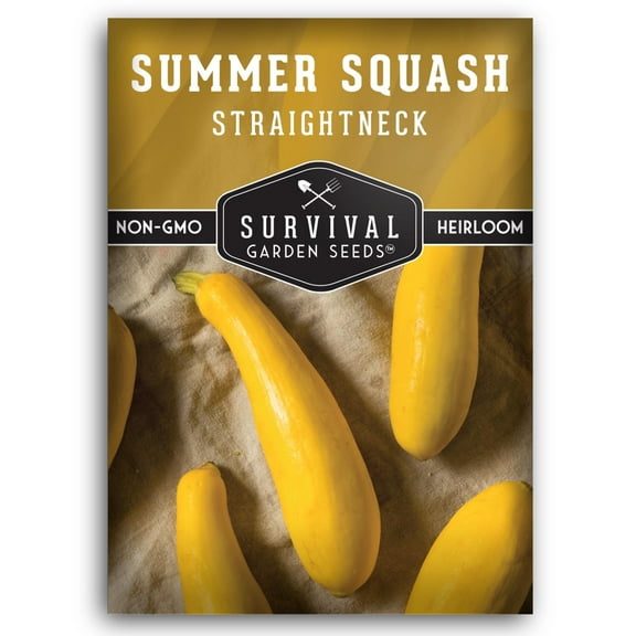 Straightneck Summer Squash Seed - Non-GMO Heirloom Full Sun Annual Vegetable - 1 Pack