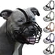 thumbnail image 1 of Breathable Metal Muzzle for Pitbull Large Dogs Amstaff XX, 1 of 4