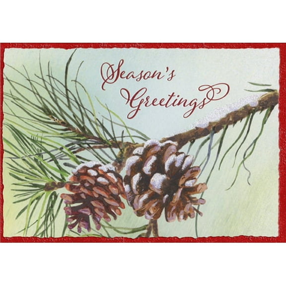 Designer Greetings Two Pine Cones on Branch Season's Greetings Box of 18 Christmas Cards