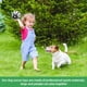 thumbnail image 4 of Pelota de fútbol para perros QDAN Dog Toy con correas para perros pequeños, 4 of 9
