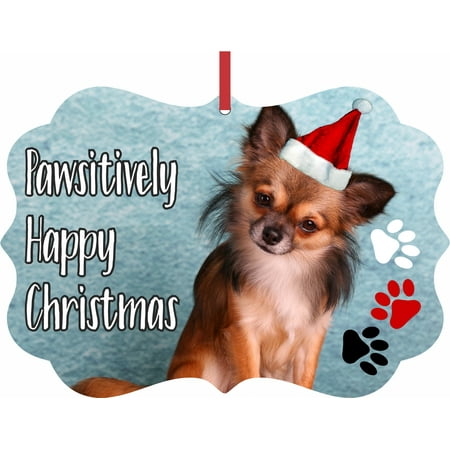 Chihuahua Santa - Ornament Dog - Chihuahua in a Santa Claus Hat - Pawsitively Merry Christmas - Elegant Aluminum SemiGloss Christmas Ornament Tree Decoration - Unique Modern Novelty Tree Décor Favors