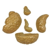 Life Size Human Brain Model for Kids Education Teaching Tools Lab Supplies