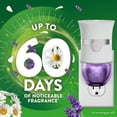 thumbnail image 2 of Air Wick Plug in Scented Oil Refills, Lavender and Chamomile, Eco Friendly, Essential Oils, Air Freshener, 0.67 Fl Oz (Pack of 10), 2 of 9