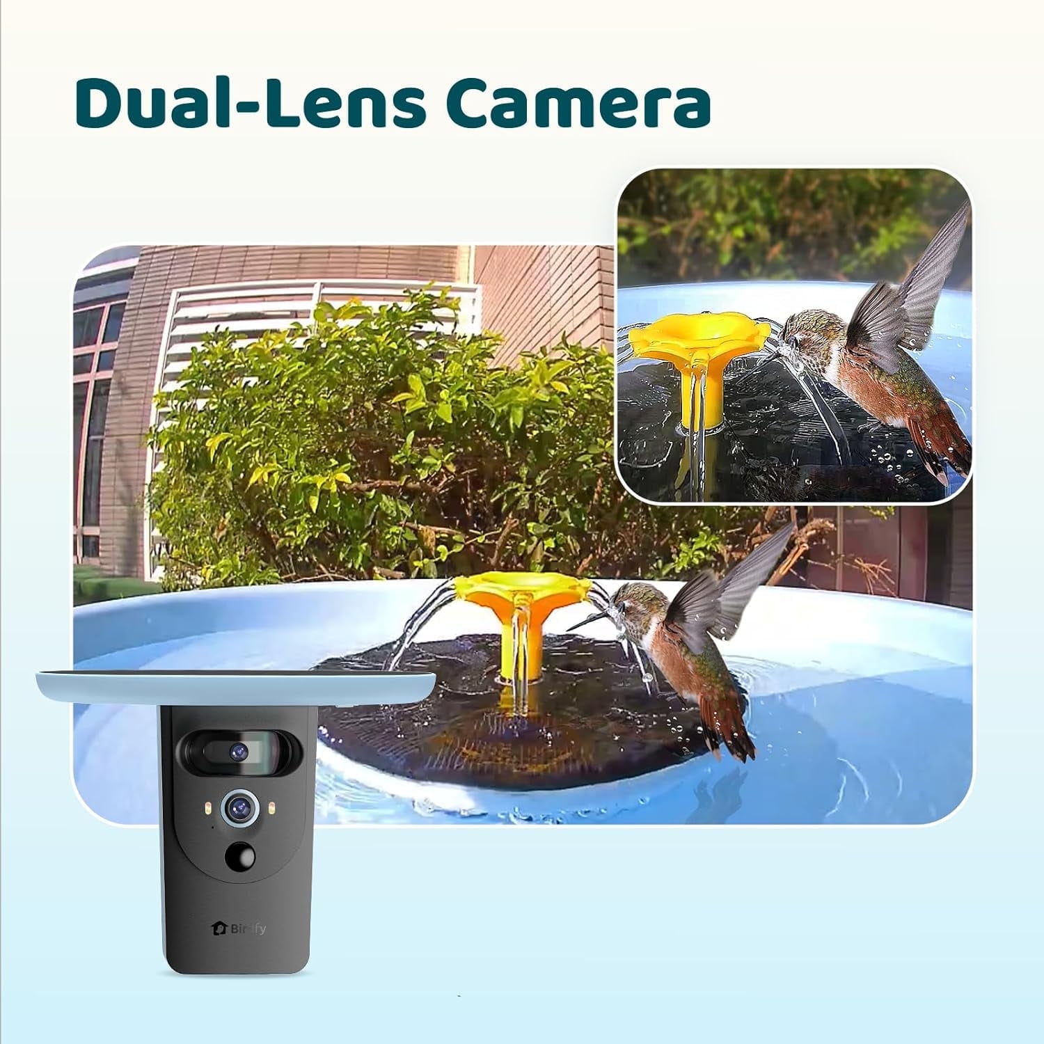 Birdfy Bird Bath with Camera, Solar Powered, Round Pond Fountain, 1080P HD Bird Camera Auto Capture Bird Bath Videos, Blue