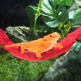 thumbnail image 7 of Bearded Dragon Hammock Lizard Hammock with Suction Cups Hooks Bearded Dragon Tank Accessories Reptile Lounger for Geckos Red 1 Set, 7 of 7