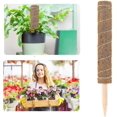thumbnail image 4 of Set Of 2 Coconut Stakes - For Climbing Plants - Natural Coconut Fiber - Extendable, 4 of 5
