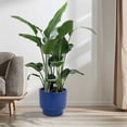 thumbnail image 2 of S-HOME Set of 3 Antique Blue Ceramic Planters, 15" 12" 9" Modern Flower Pots for Indoor/Outdoor, 2 of 12