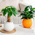 thumbnail image 3 of mdesiwst Self Watering Flowerpot with Transparent Bottle And Water Level View Self-Absorbing Cotton Rope Planter Double-Layer Flower Pot for Indoor Plants And Money Trees, 3 of 8