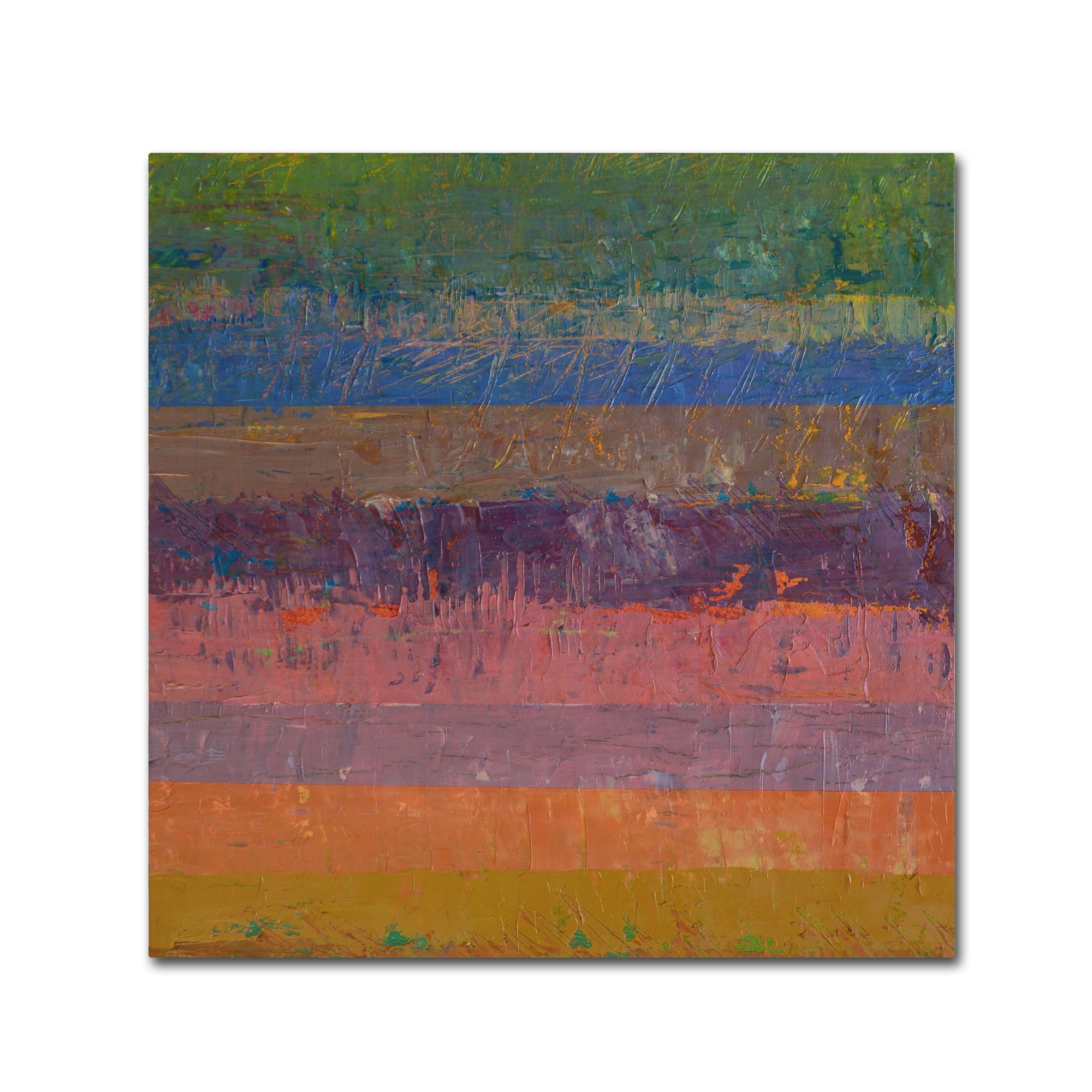 Trademark Fine Art "Pink Line" Canvas Art by Michelle Calkins